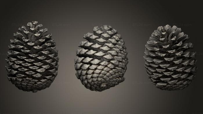 Miscellaneous figurines and statues (Pine Cone, STKR_0354) 3D models for cnc